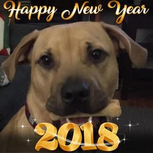 Meet your Posher, Phyllis